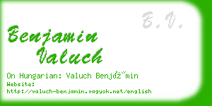 benjamin valuch business card